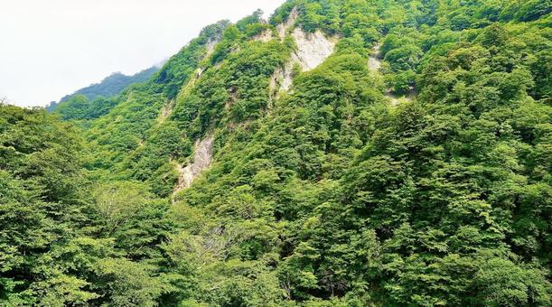栃木県日光市の華厳ノ滝の反対側の渓谷 栃木県日光市の華厳ノ滝の反対側の渓谷の写真