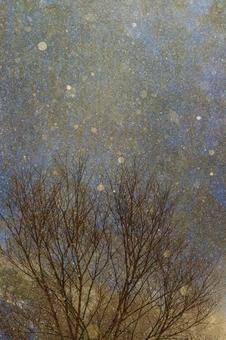 木々とダイヤモンドダスト_縦 ダイヤモンドダスト,冬,雪の写真素材