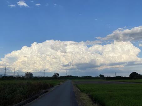 夏の空 夏の空の写真
