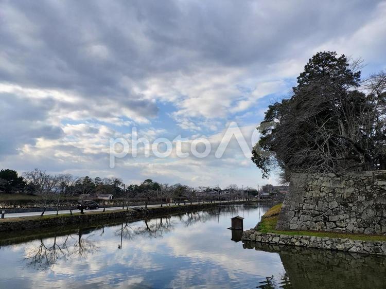 彦根城の内堀 自然,風景,景色の写真素材