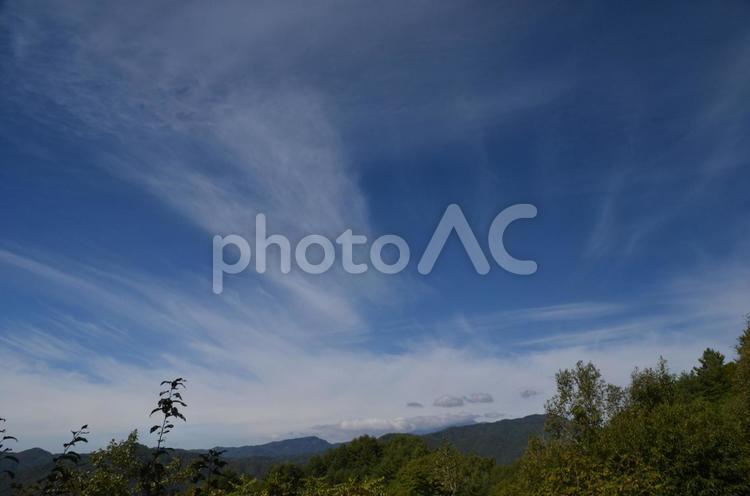 開田高原の秋　青い空と白い雲 秋,そら,秋の空の写真素材