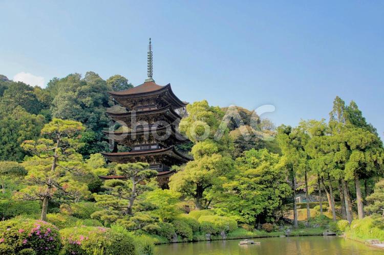 大内氏の全盛期を伝える瑠璃光寺五重塔 山口,西の京,西京の写真素材