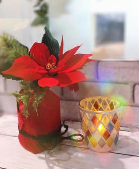 クリスマスのお花とキャンドルの灯り クリスマス,ポインセチア,クリスマスの花の写真素材