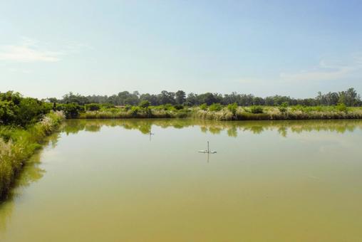 ルンビニ聖園の堀　ネパール　2 ルンビニ,ネパール,池の写真素材