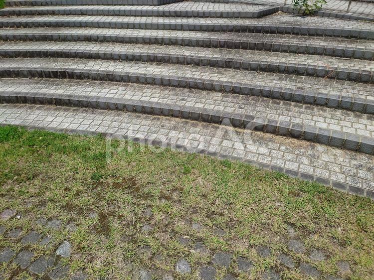 円形の広場の階段 階段,円形,広場の写真素材