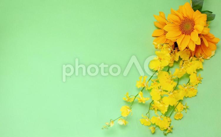 イエローカラーの2種花束素材 花,黄色,ひまわりの写真素材