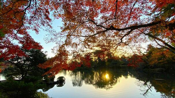 早朝・晩秋の兼六園 兼六園,金沢,石川の写真素材