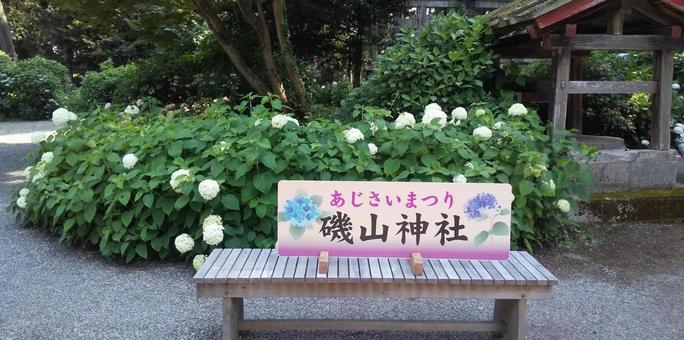 フォトスポット フォトスポット 栃木県,夏,参拝の写真素材