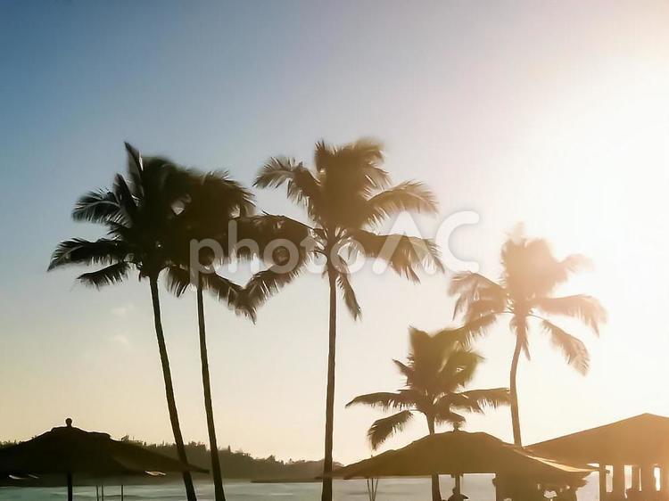 ハワイの夕暮れ ハワイ,夕暮れ,夕焼けの写真素材