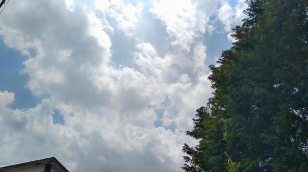 空 空の写真