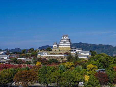 【兵庫県】姫路市・姫路城 姫路城,イーグレひめじ,姫路公園の写真素材
