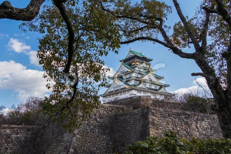 木の枝の間から眺める大阪城天守閣 大阪城,天守閣,空の写真素材