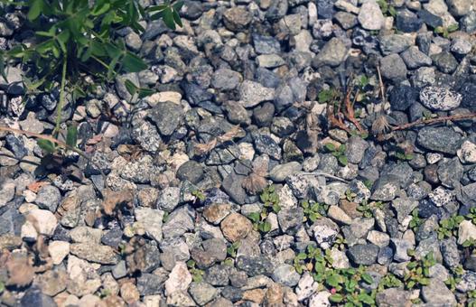 半径16センチ、靴の裏 砂利,地面,石の写真素材