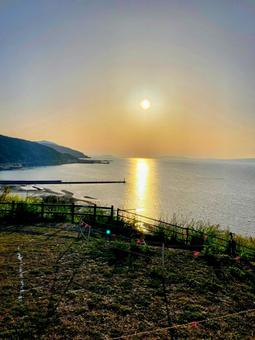 御輿来海岸 御輿来海岸の写真
