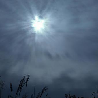 ススキと空 ススキと空の写真