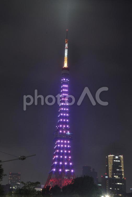 安室奈美恵カラーの東京タワー イルミネーション,tokyo,夜景の写真素材