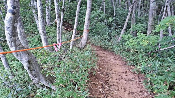 登山道の赤布 登山道の赤布の写真