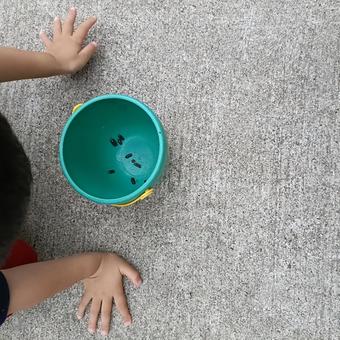 ダンゴムシを見る子供 ダンゴムシを見る子供 ダンゴムシ,昆虫,子供の写真素材