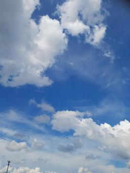 夏の空②の写真