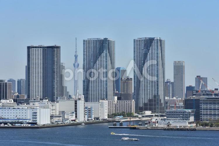 晴海ふ頭 遠景 スカイツリー 晴海ふ頭,スカイツリー,東京湾の写真素材