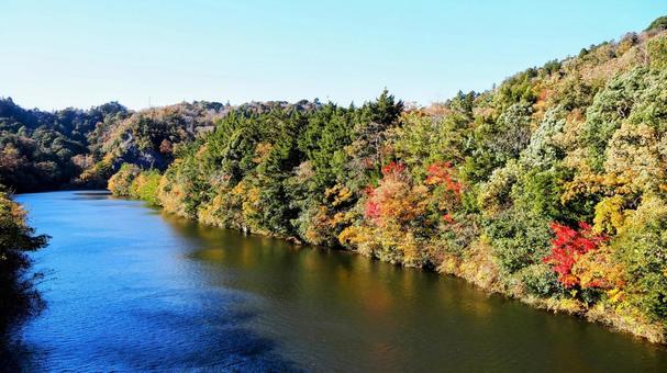 秋の笹川湖＆湖畔の紅葉（千葉県・君津市） 秋,笹川湖,紅葉の写真素材