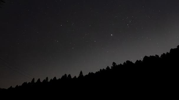 星降る森の静けさ 星降る森の静けさの写真