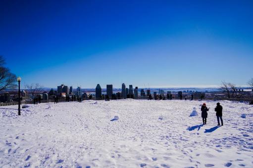 View from Mount Royal Park, JPG