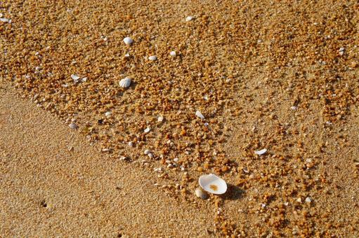 福岡県、シーサイドももち海浜公園11 風景,日本,九州の写真素材