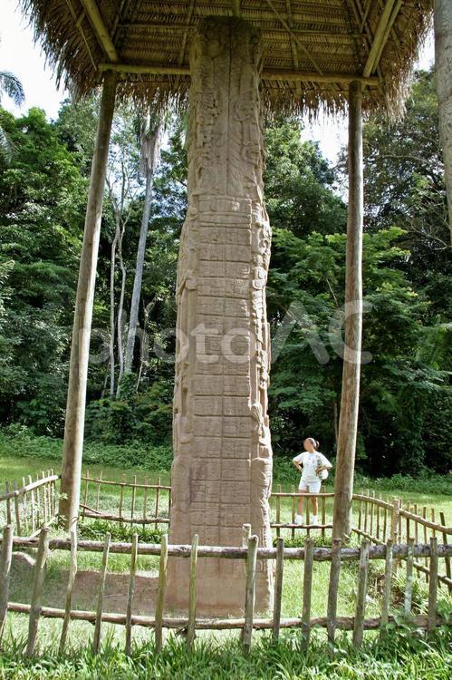 キリグア遺跡　グラン・プラザ　石碑F-9 グアテマラ,キリグア,キリグア遺跡の写真素材