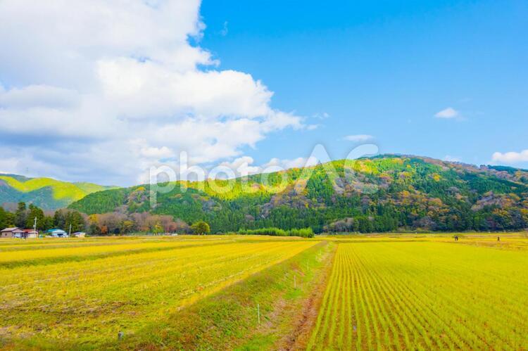 畑の風景 畑,青空,空の写真素材