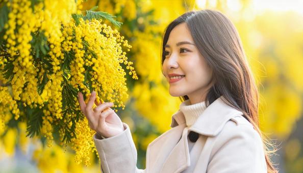 ミモザを鑑賞する日本人女性の写真
