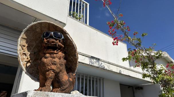 沖縄　慶良間諸島　阿嘉島 沖縄,慶良間諸島,阿嘉島の写真素材