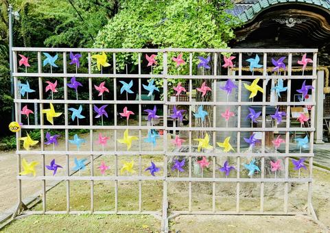 綾部八幡神社 綾部八幡神社,みやき町,佐賀県の写真素材