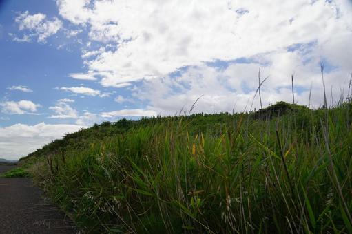 晴れた日の丘の風景 晴れた日の丘の風景の写真