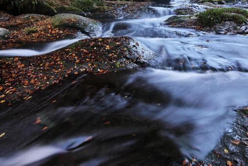 菊池渓谷 菊池川,菊池渓谷,渓流の写真素材