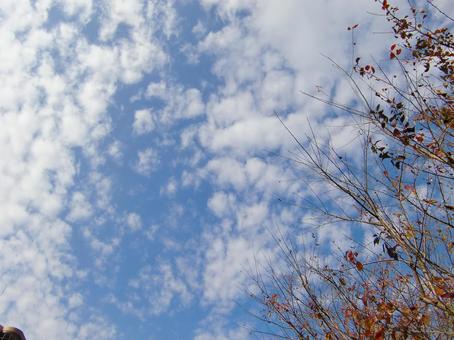 November Clouds-47, JPG