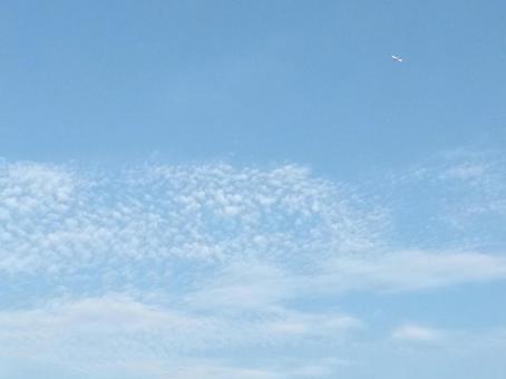 薄雲と飛行機 薄雲と飛行機 雲,薄雲,薄い雲の写真素材