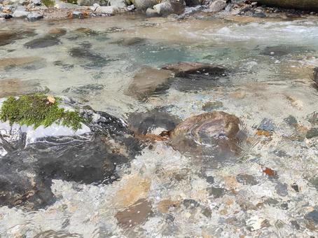 川 川,きれいな川,透明の写真素材