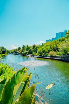 【シンガポール】ガーデンズバイザベイ 【シンガポール】ガーデンズバイザベイの写真