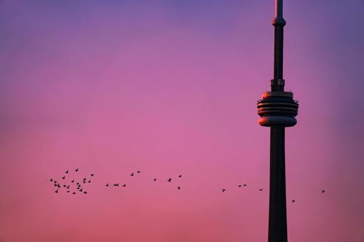 Tower in the pink sky, JPG Tower in the pink sky, JPG