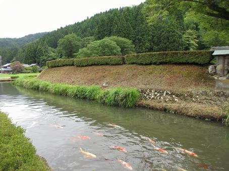 福井県-一乗谷朝倉氏遺跡-堀と土塁 福井県-一乗谷朝倉氏遺跡-堀と土塁の写真