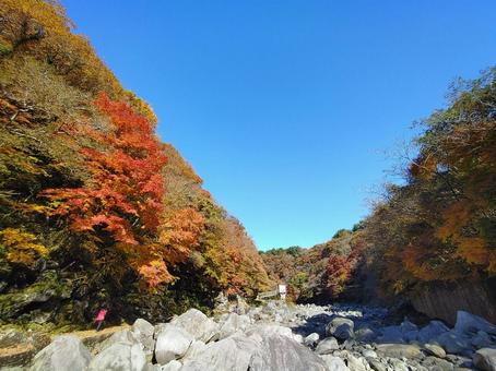 天娥渓谷 チョナ渓谷,天娥渓谷,済州島の写真素材