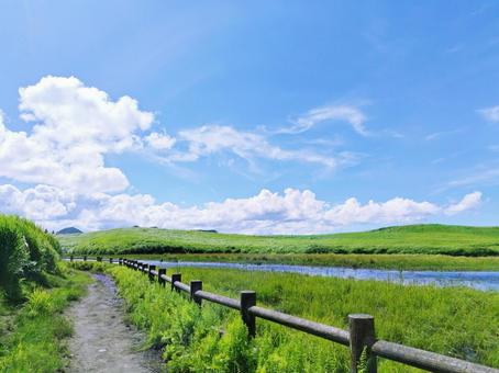 夏の曽爾高原 遊歩道と青空 夏の曽爾高原 遊歩道と青空 曽爾高原,夏,緑の写真素材