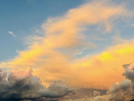 夕焼け 夕焼け,空,オレンジの写真素材