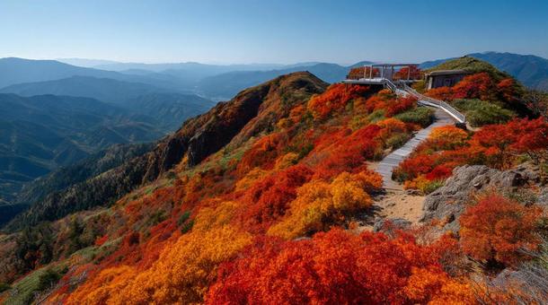 紅葉した秋の山 紅葉した秋の山の写真