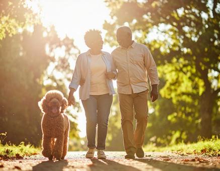 緑に囲まれて歩くシニアカップルとプードル 緑に囲まれて歩くシニアカップルとプードルの写真