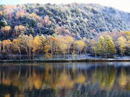 晩秋の木戸池 木戸池,晩秋,紅葉の写真素材