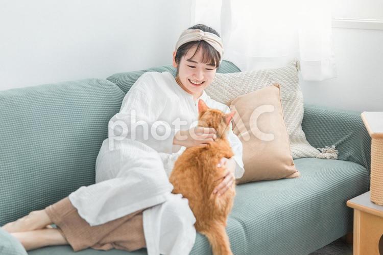 ソファでペットの猫と遊ぶ日本人女性 猫,ペット,遊ぶの写真素材