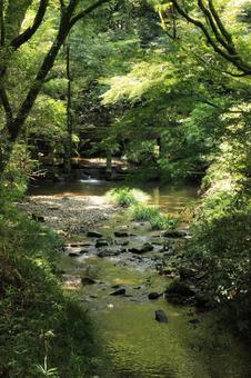 川の景色 川の景色の写真