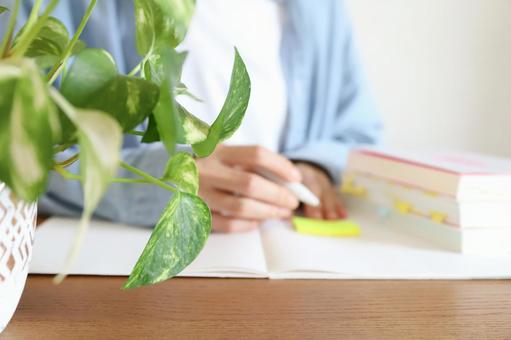 勉強をする手元 勉強をする手元 勉強,学習,受験の写真素材
